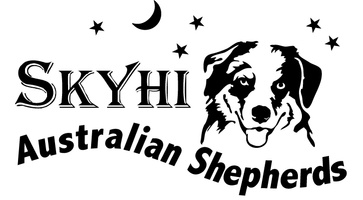 SkyHi Australian Shepherds