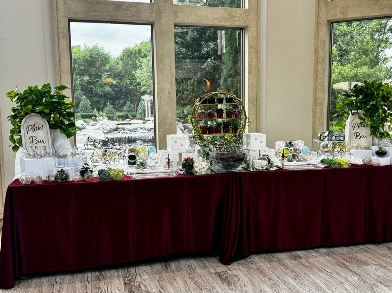 My Plant Wagon event display with live plants, planters, terrarium materials and supplies.