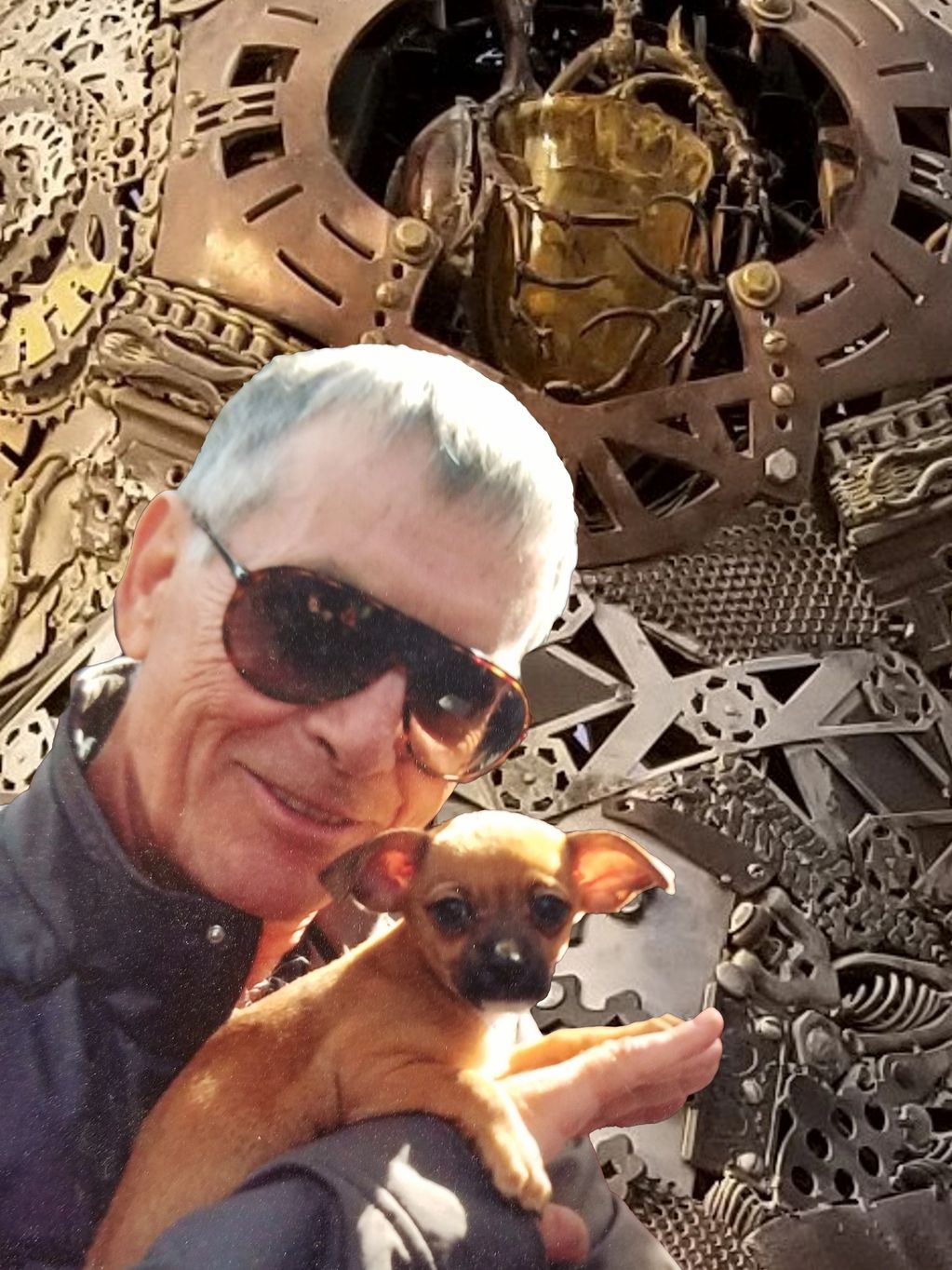 Man with sunglasses holding a small dog in front of a detailed mechanical background.