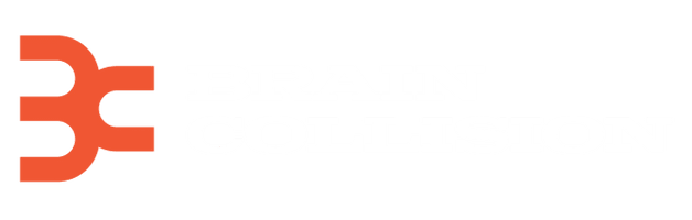  BRAIN COLLISION