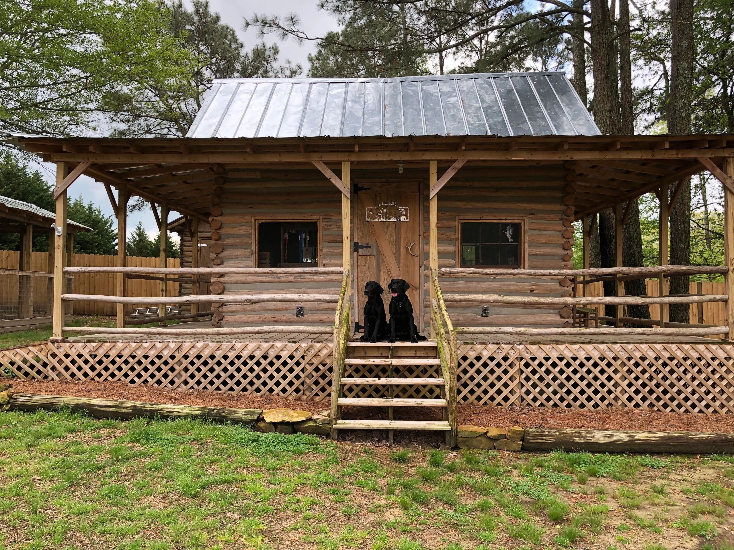 Hickory Nut Kennels Labrador Retrievers, Puppies, Alabama