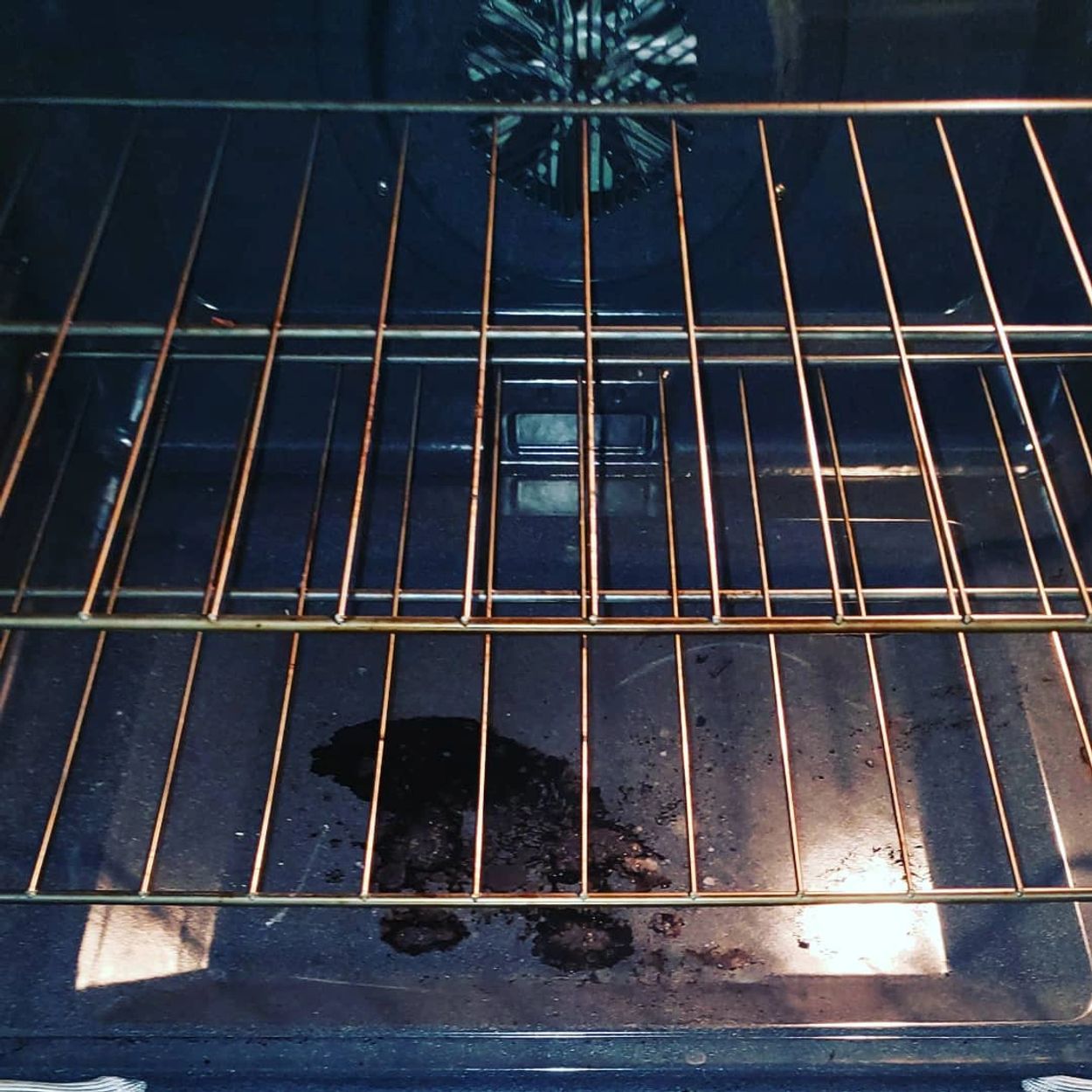 Dirty oven prior to cleaning