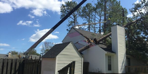 Tree fallen on roof.
