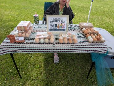 Table selling farm fresh eggs at $5 per dozen.