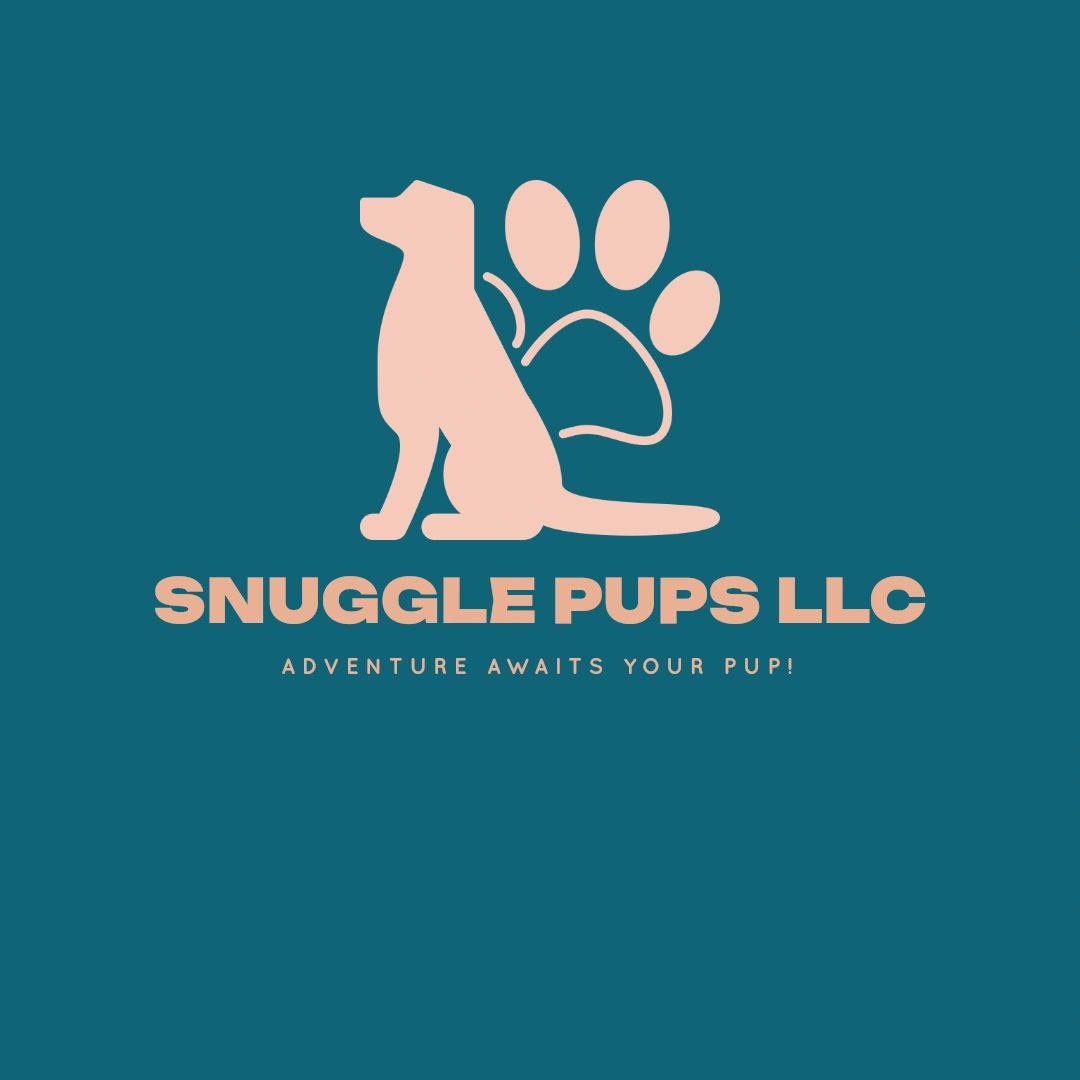 Best Dog Daycare Services for Your Puppies