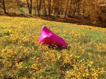 Bright pink bean bag on a yellow flower field in autumn.