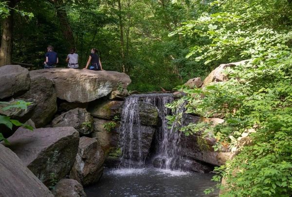 Three people sit on rocks near a small waterfall in a lush forest.