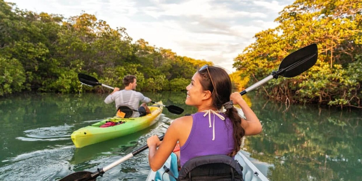 Kayaking eco tour through the mangroves in key west