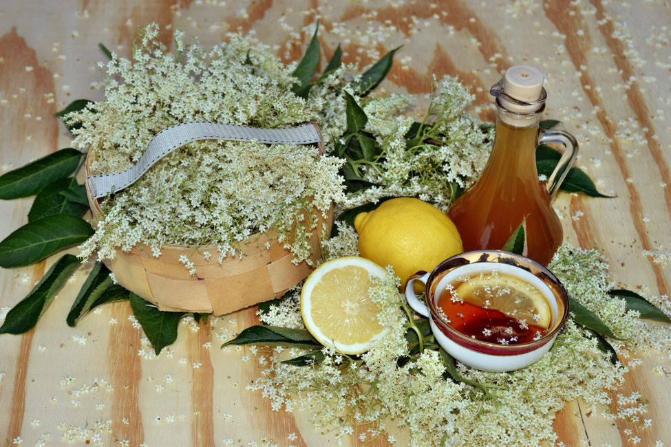 elderflower tea recipe. elderflower tea recipes, recipes for elderflower tea mix