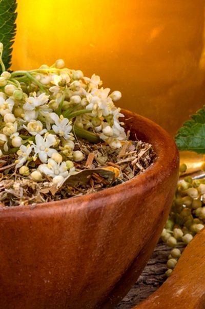 buy elderflower tea ingredients