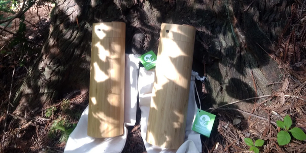 Scattering Memorial cremains tubes leaning against giant Redwood Tree