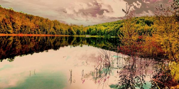 Calm lake with surrounding forest and cloudy sky.