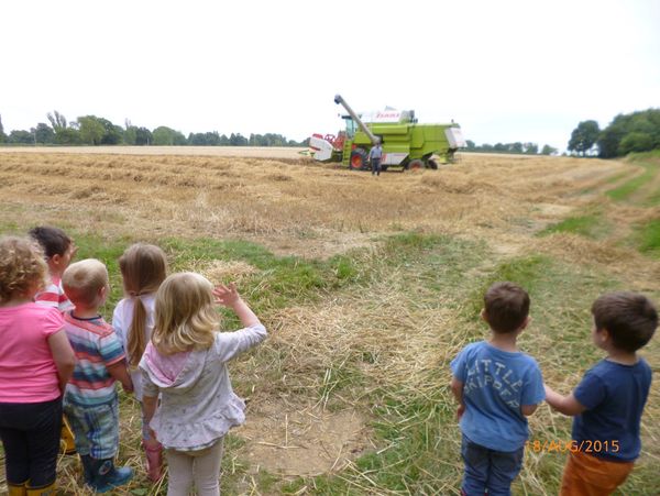 Children watching a combine harvester in a field.