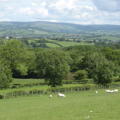 Fields at LD4 4DW,  Cefn Gorwydd, Llangammarch Wells, Powys.