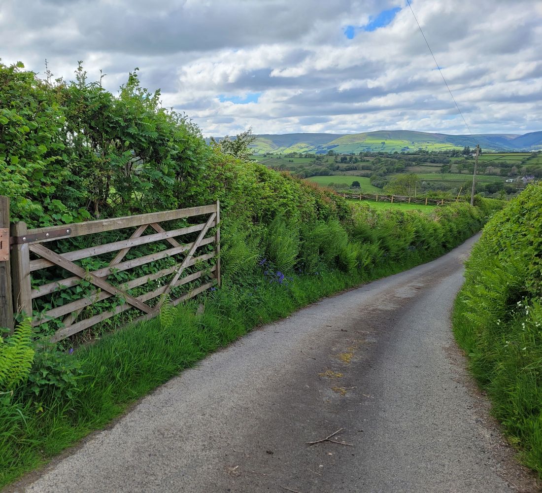 Driveway to Tŵr-Ffoledd,  Cefn Gorwydd,  Llangammarch Wells. 