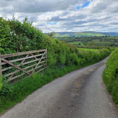 Driveway into Tŵr-Ffoledd