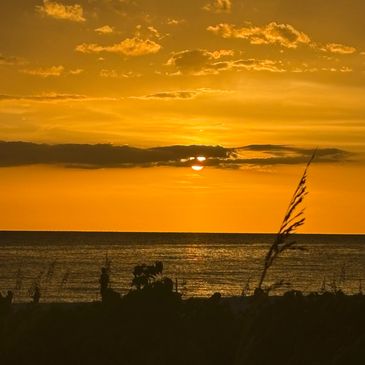 The Heat or the Crazy Beach Bum Head?