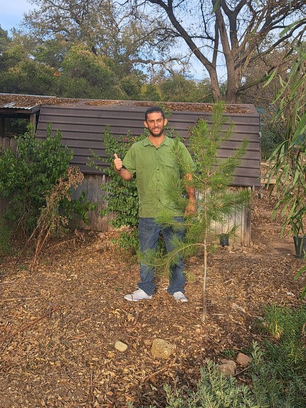 Male massage therapist specializing in traditional Thai massage for relaxation and healing, shiatsu