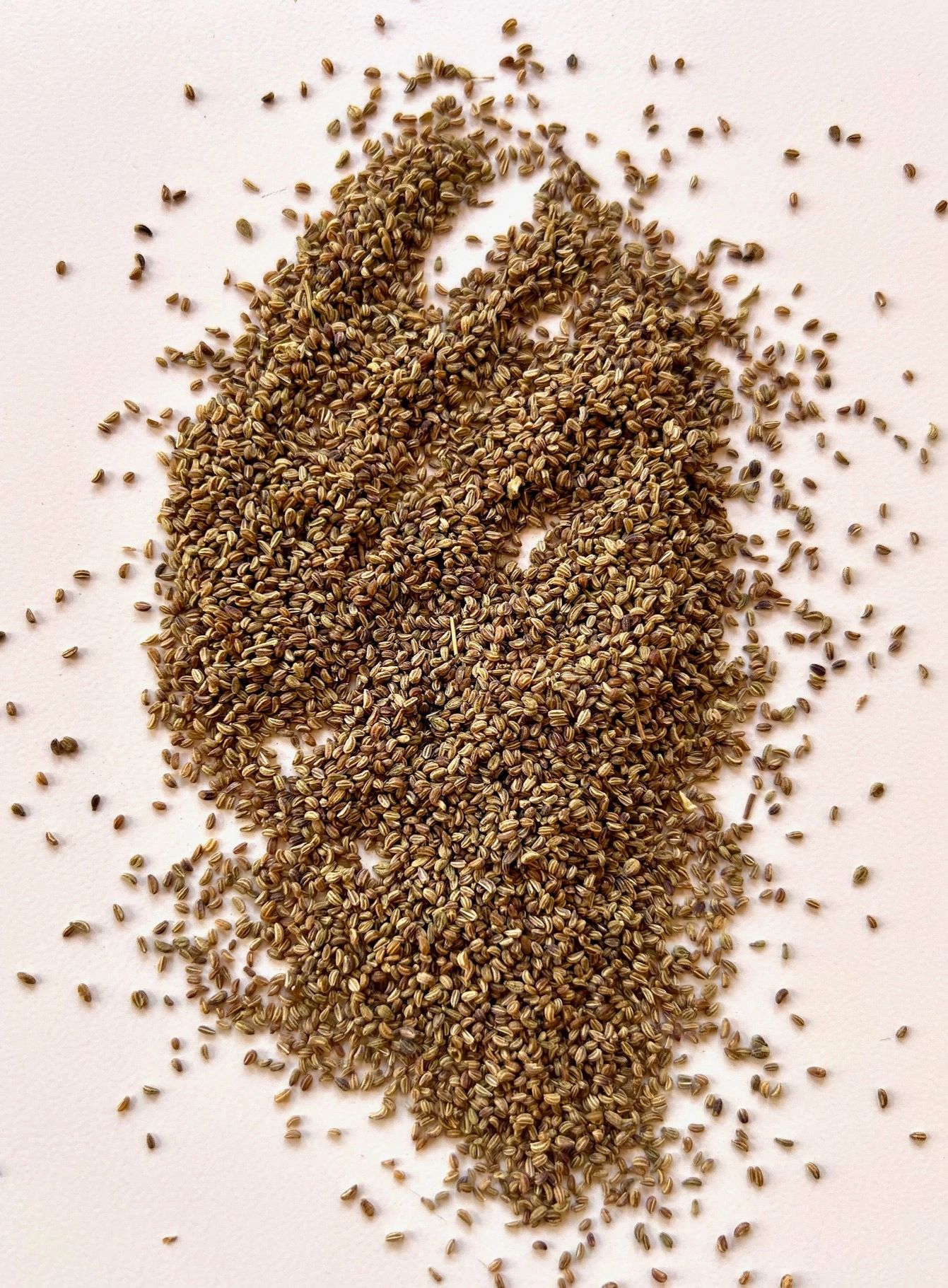 10 amazing benefits and uses of Carom seeds