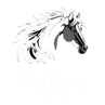 Wild Horse Holdings
