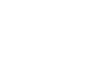 Rezilient detailing 
