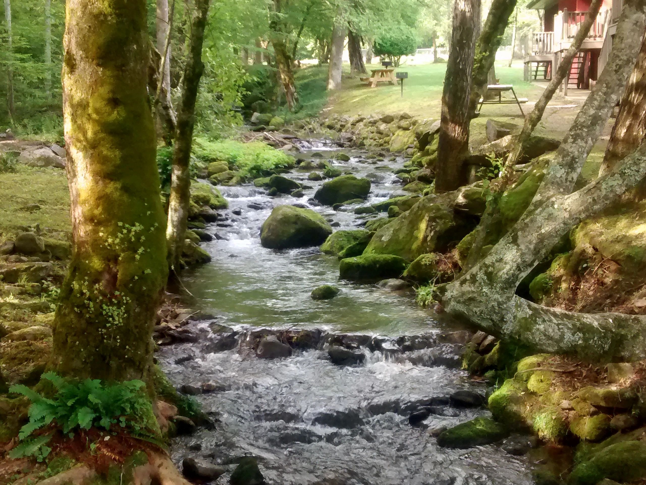 Laurel Springs Resort Home