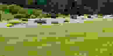 image141