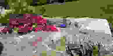 image144