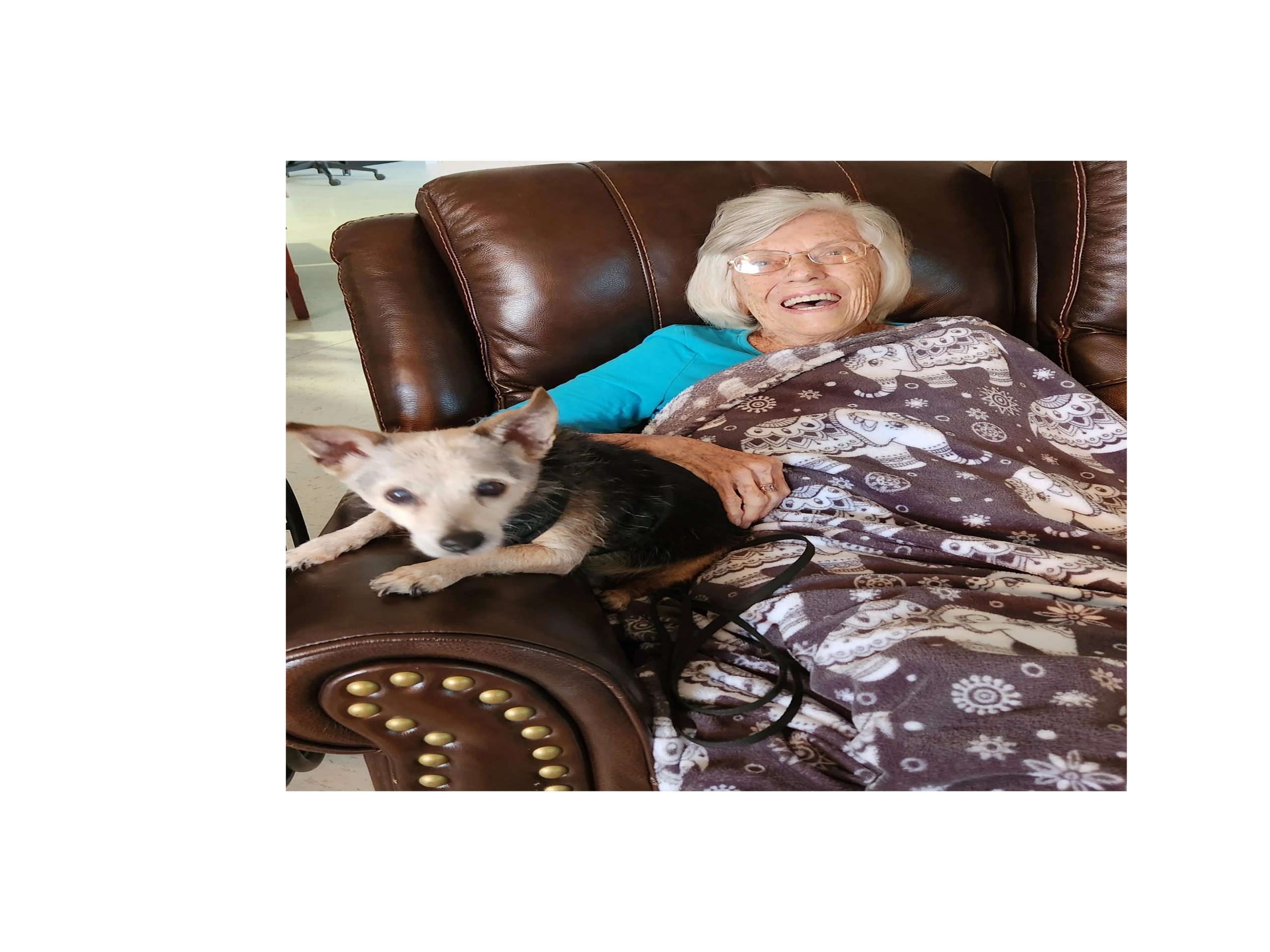 ASSISTED LIVING OF SPRING HILL - Main