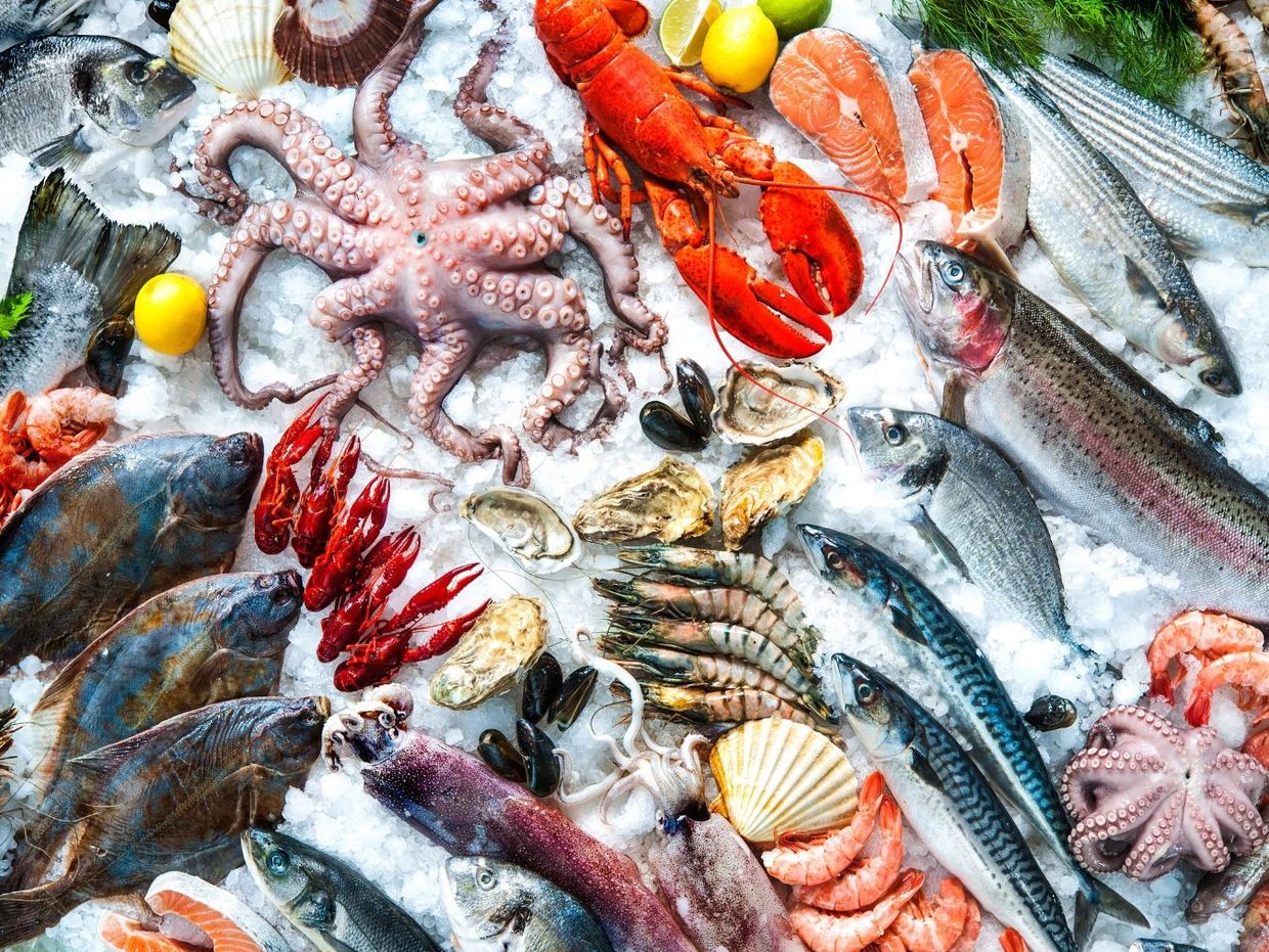 A colorful assortment of fresh seafood on ice, including octopus, lobster, fish, and shellfish.