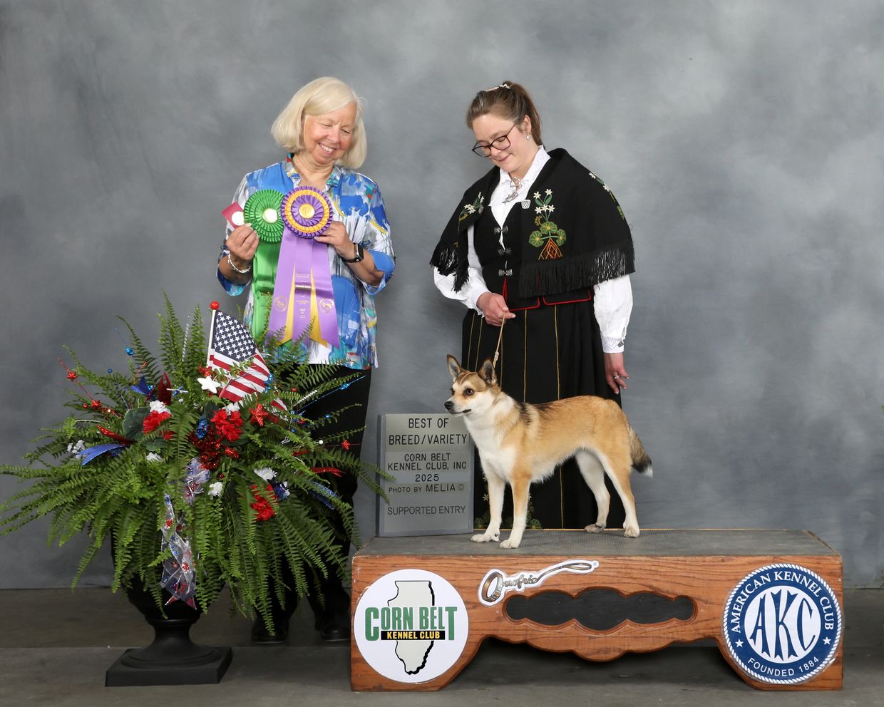 Bolsoy Kennel photo