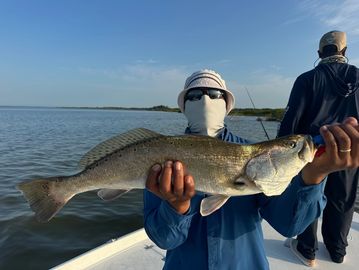 Person holding a large fish on a boat in calm waters.