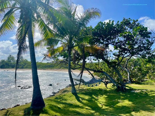 At Mama Lola’s ~ Big Corn Island (Sally Peachy)