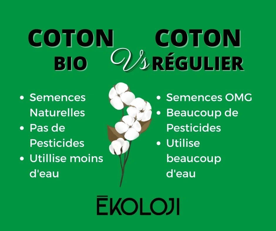 Coton conventionnel versus coton bio : quelle différence ?