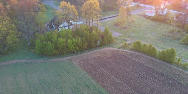 8K drone picture during deer herd analysis 