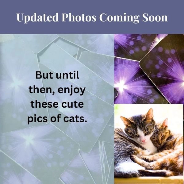 Text about updated photos and a photo of two cats cuddling.