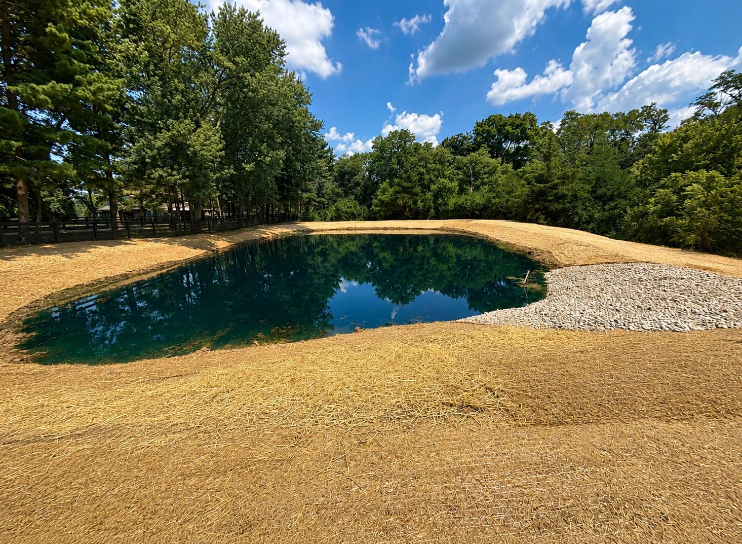 A calm pond surrounded by trees under a blue sky.