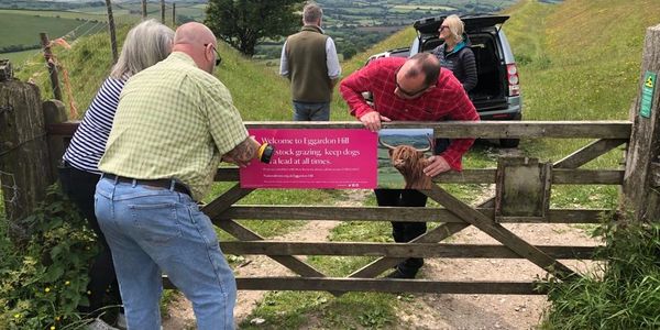 Volunteer's helping to put signs up at Eggardon Hill, enforcing our message to dog walkers.