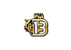 Bartoo Financial