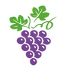 VINEYARD