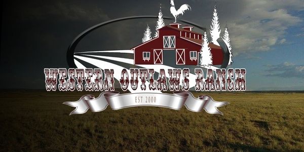 Westernoutlawzkennels.com 