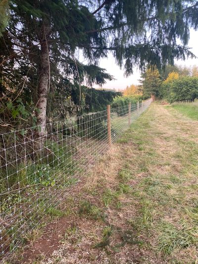 A line of field fence installed with wood posts in Central Oregon