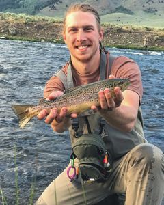 Taking a summer class out in Yellowstone has its perks. Matt is holding a beautiful Brown Trout.