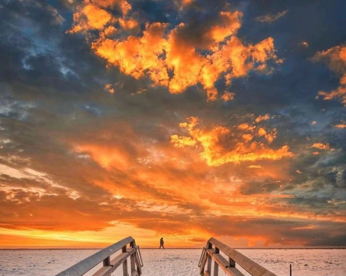 Tyde at Walnut Beach
