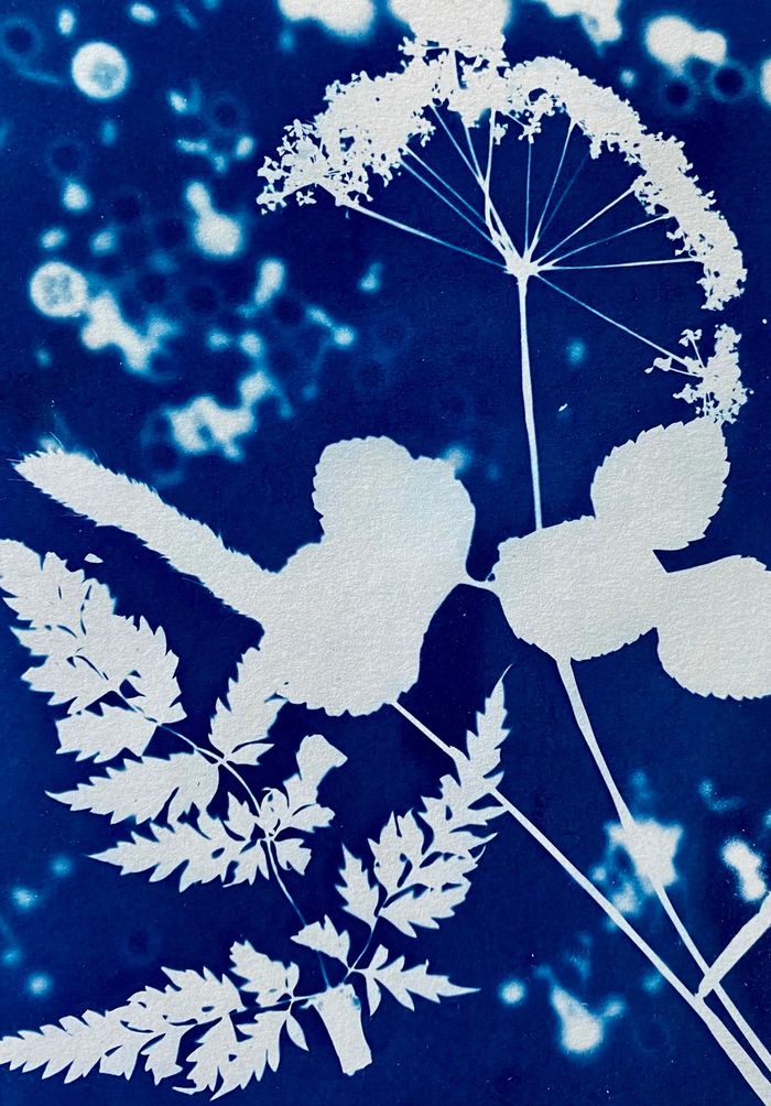 Shapes of leaves with blue background