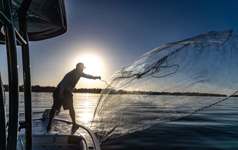 Live bait chum and cast net fishing captain