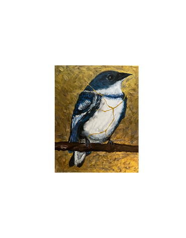 Endangered Cerulean Blue Warbler with Gold Repair