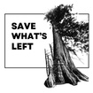 Save What's Left