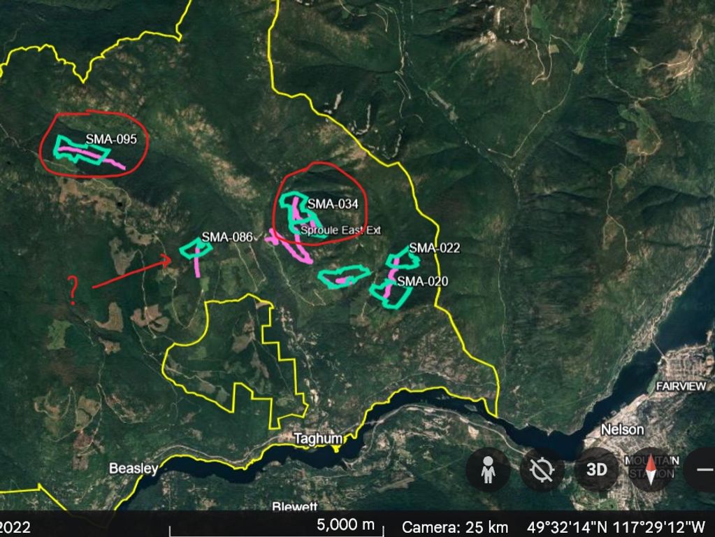 Map of BCTS 2024 clearcuts in Smallwood landscape unit (Sproule/Rixen watershed).