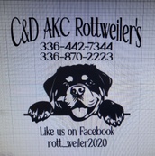 C & D Rottweiler’s